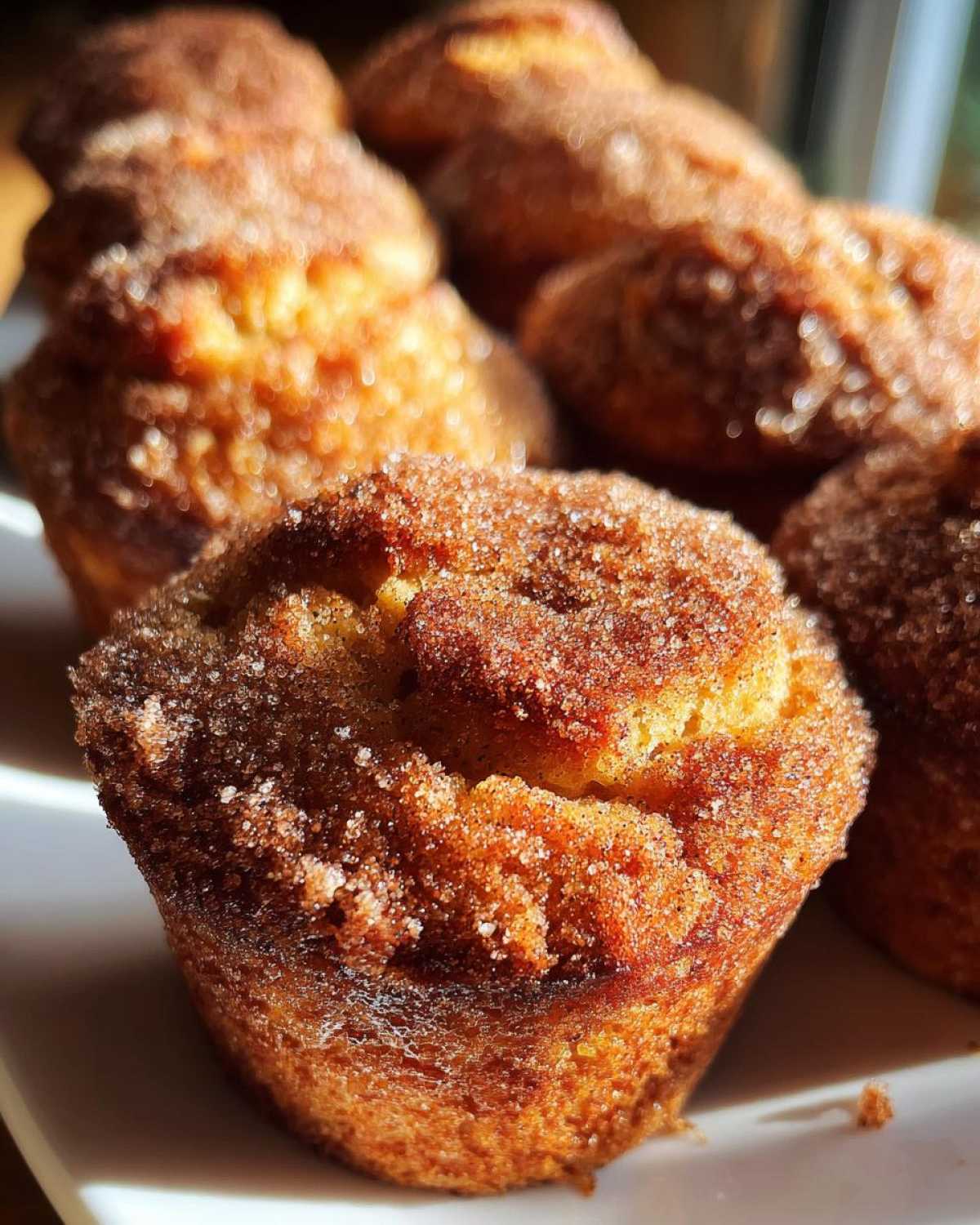 Apple Cider Donut Muffins - detail 3