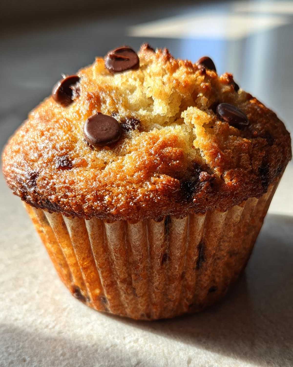 Gluten-free chocolate chip muffins - detail 3