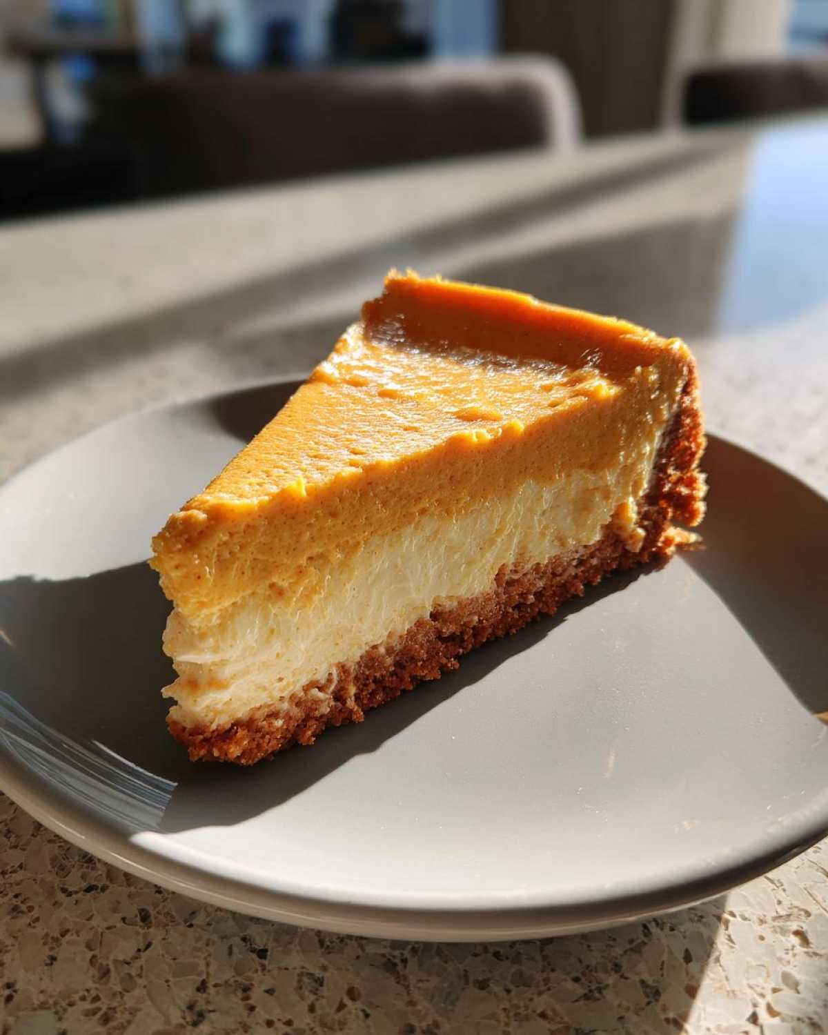 No-Bake Pumpkin Pie Cheesecake - detail 4