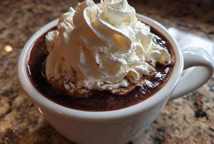Close-up of a mug filled with rich, dark whipped hot chocolate topped generously with white whipped cream.