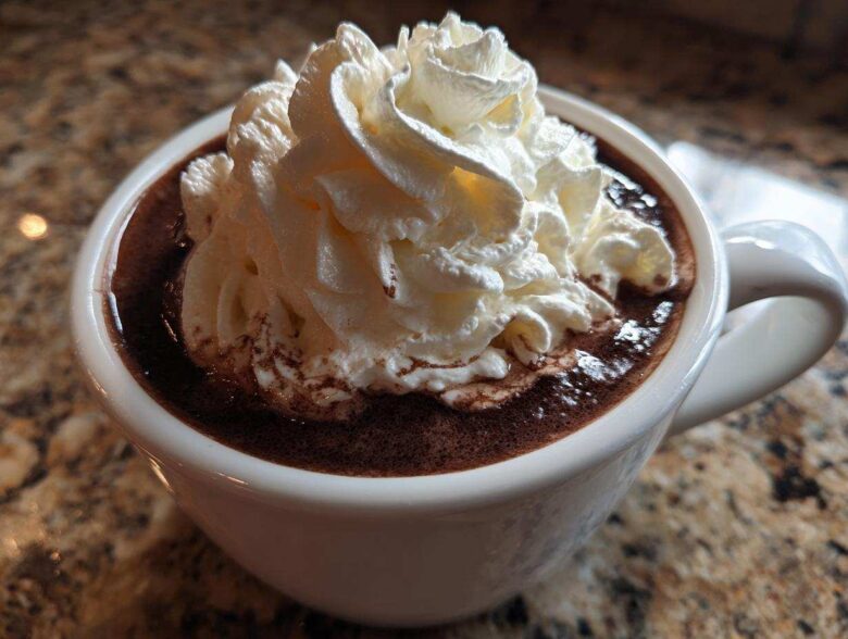 Close-up of a mug filled with rich, dark whipped hot chocolate topped generously with white whipped cream.