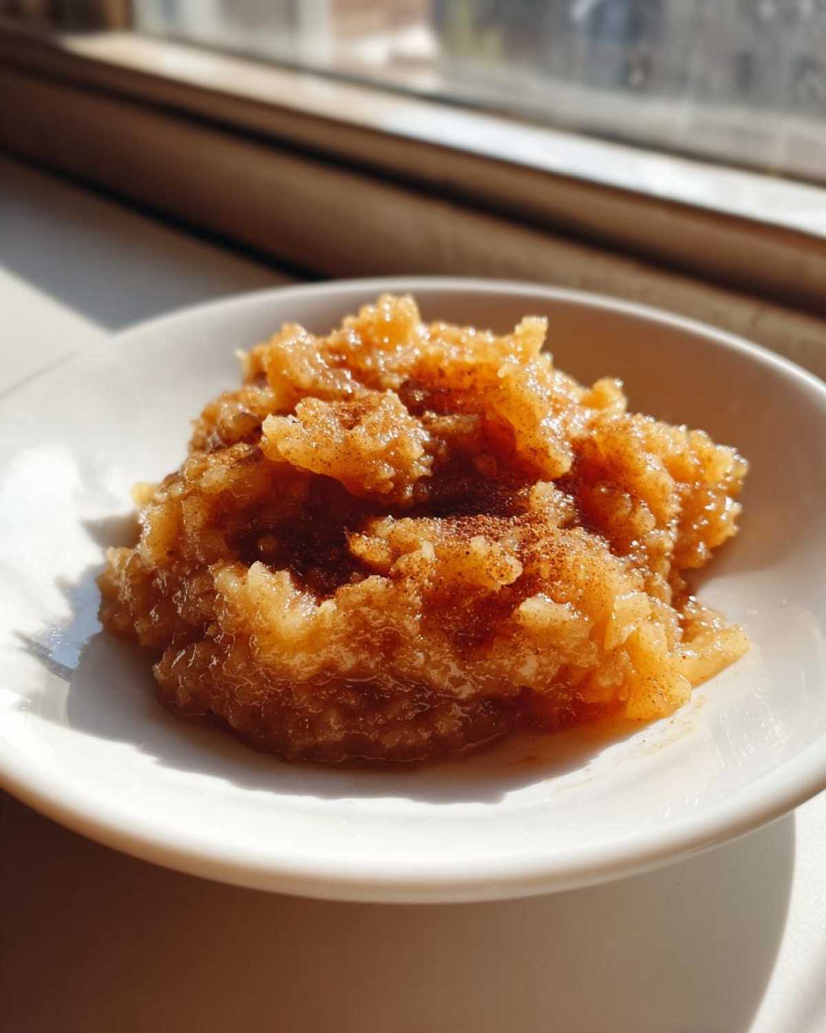 Close-up of chunky homemade applesauce sprinkled with cinnamon, served in a small white bowl near a sunny window.