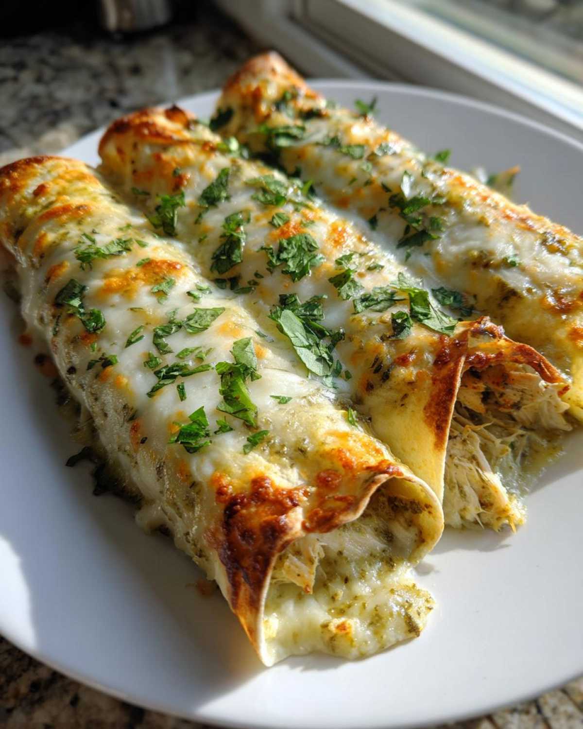 Three baked green chile chicken enchiladas covered in melted white cheese and fresh cilantro.