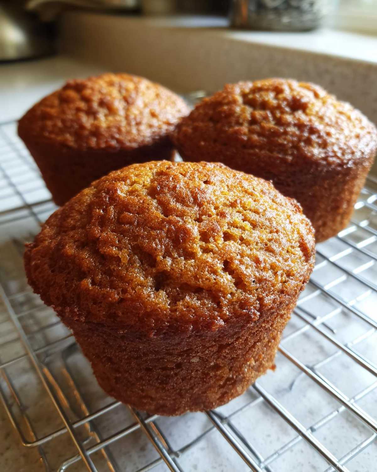 Close-up of three freshly baked, moist honey bran muffins cooling on a wire rack.