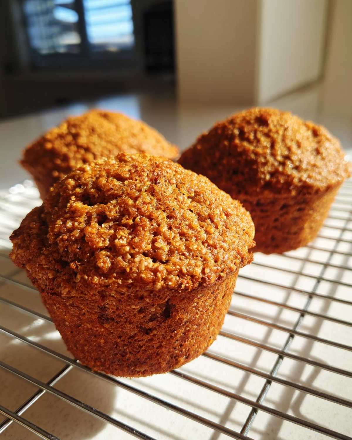 Three freshly baked, moist honey bran muffins cooling on a wire rack in bright sunlight.