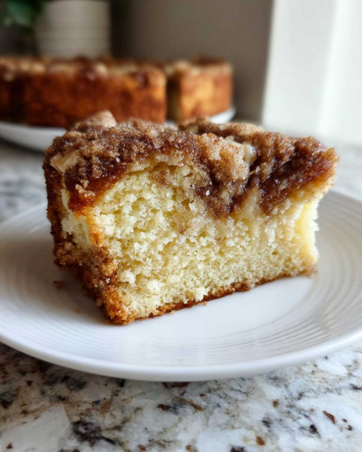 Close-up of a moist slice of sour cream coffee cake featuring a thick cinnamon streusel topping on a white plate.