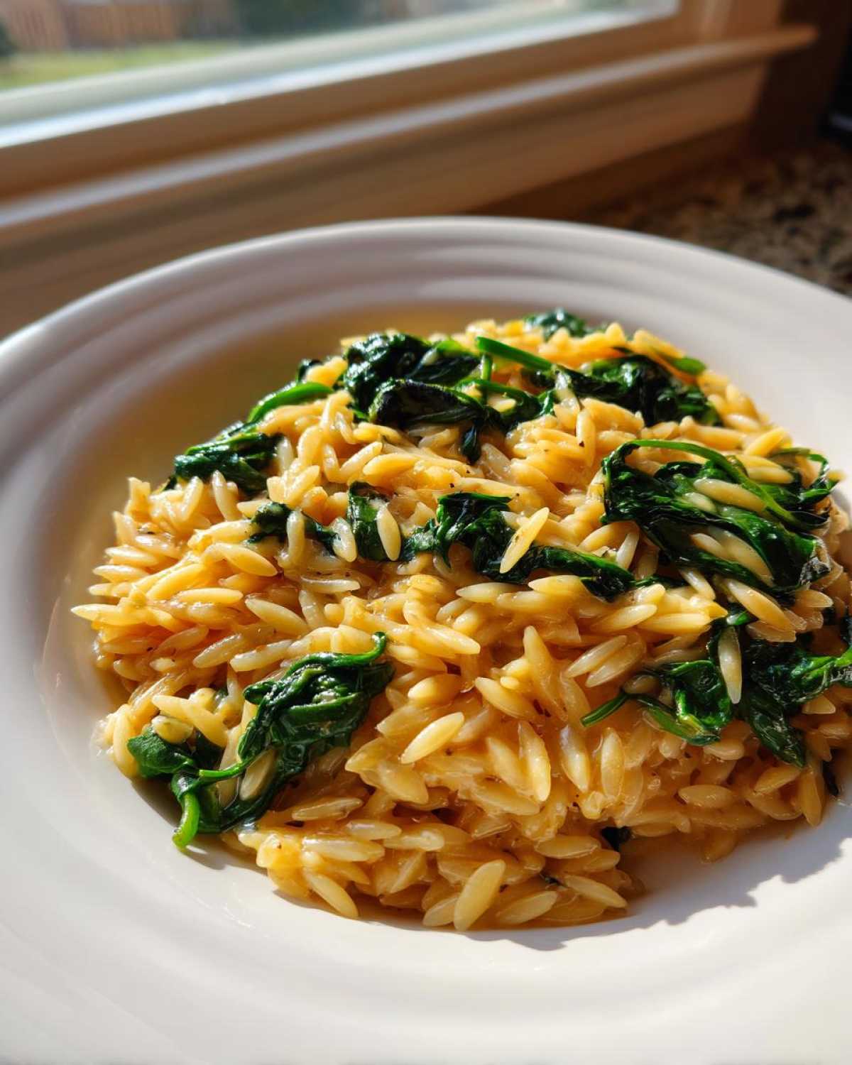 Close-up of creamy garlic parmesan orzo with spinach served in a white bowl, illuminated by sunlight.